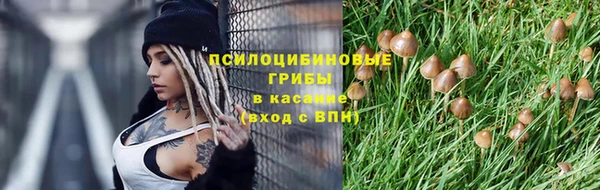 2c-b Мегион