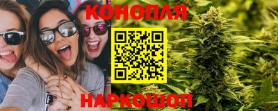 ПСИЛОЦИБИНОВЫЕ ГРИБЫ Жуковский