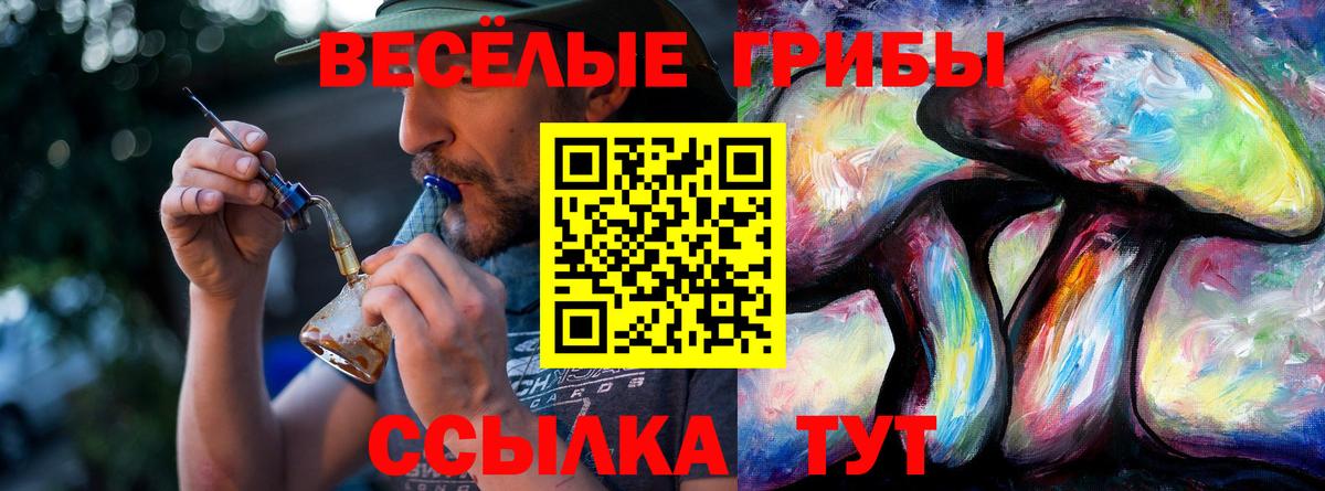как найти закладки  Галлюциногенные грибы Psilocybe  Псилоцибиновые грибы MAGIC MUSHROOMS  Вход с VPN  Киров 
