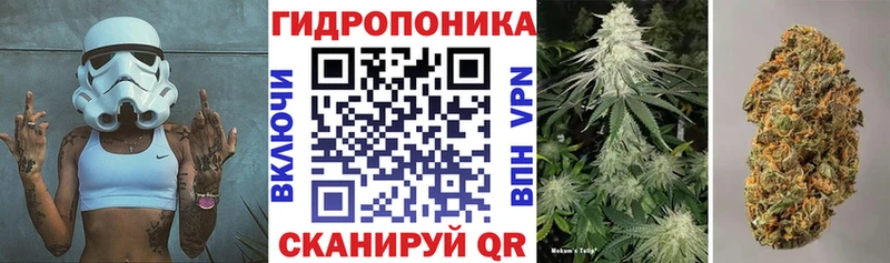 Каннабис MAZAR  OMG tor  Киров 